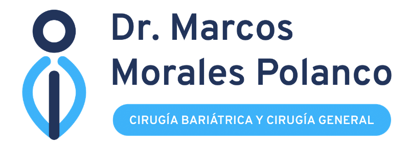 Logo web